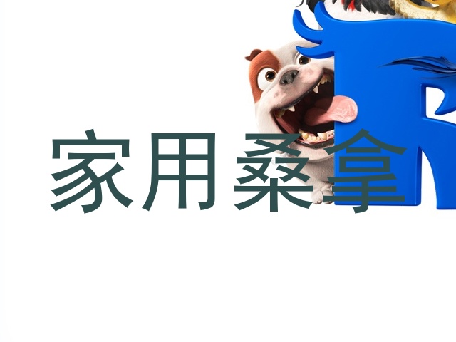 家用桑拿