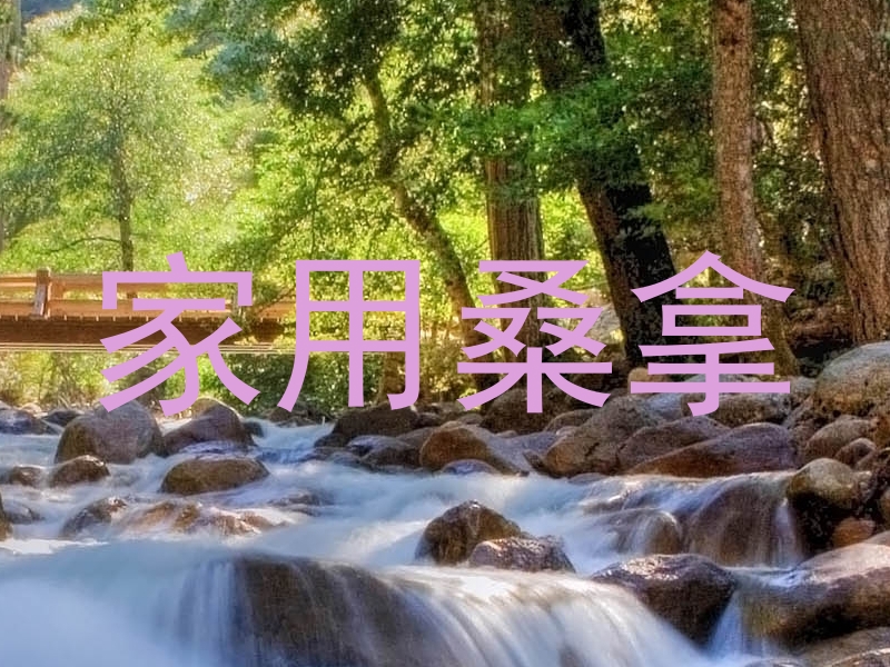 家用桑拿