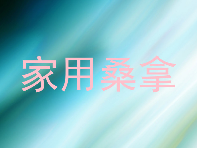 家用桑拿