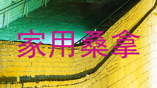家用桑拿