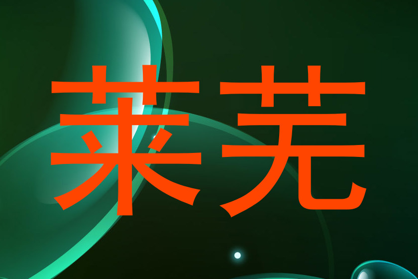 莱芜