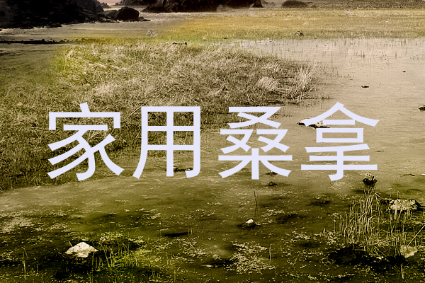 家用桑拿