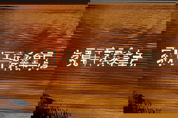 家用干蒸桑拿房