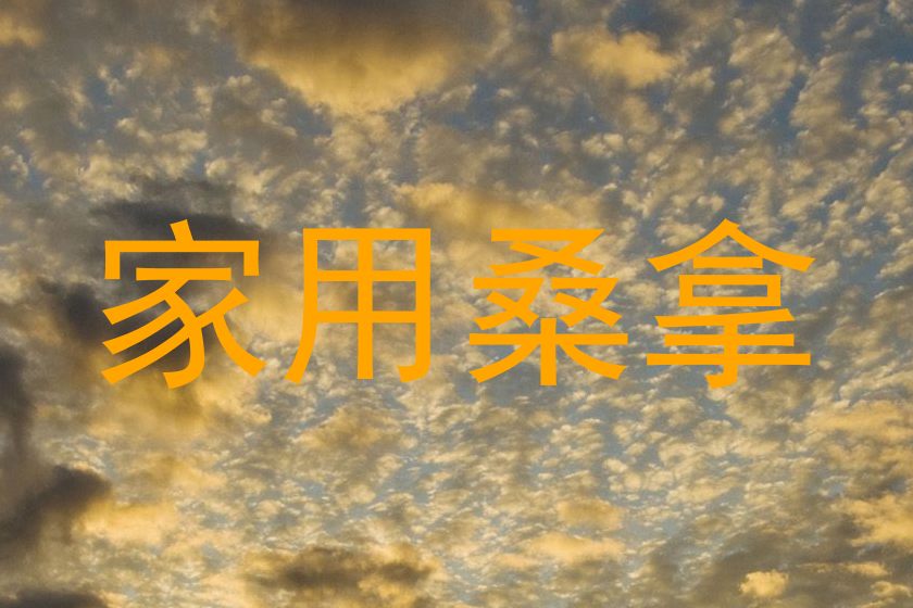 家用桑拿