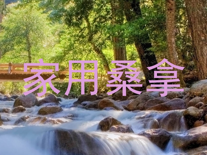 家用桑拿