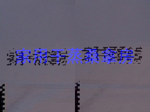 家用干蒸桑拿房