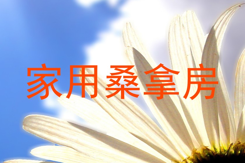 家用桑拿房