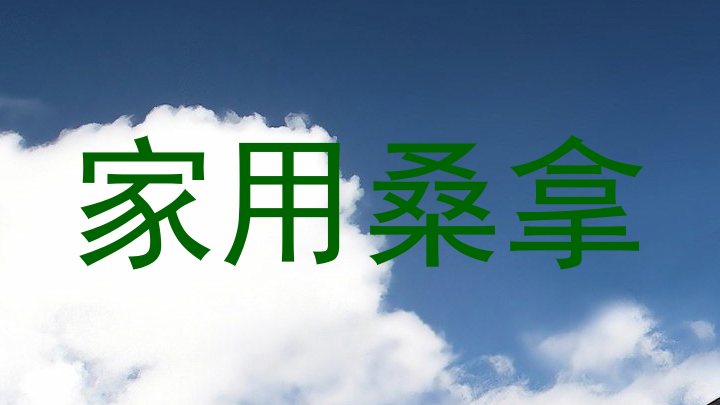 家用桑拿