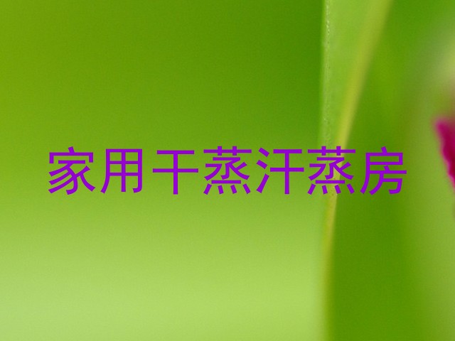 家用干蒸汗蒸房