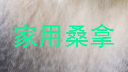 家用桑拿