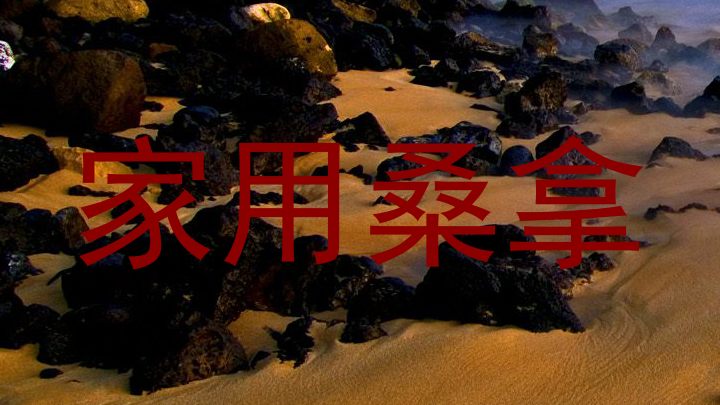 家用桑拿