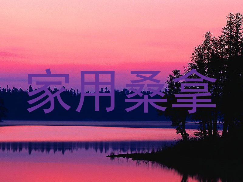 家用桑拿