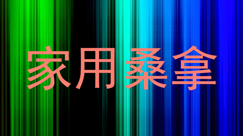 家用桑拿