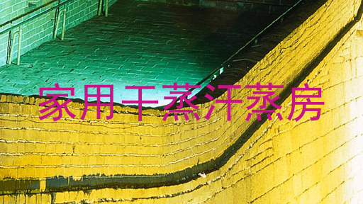 家用干蒸汗蒸房