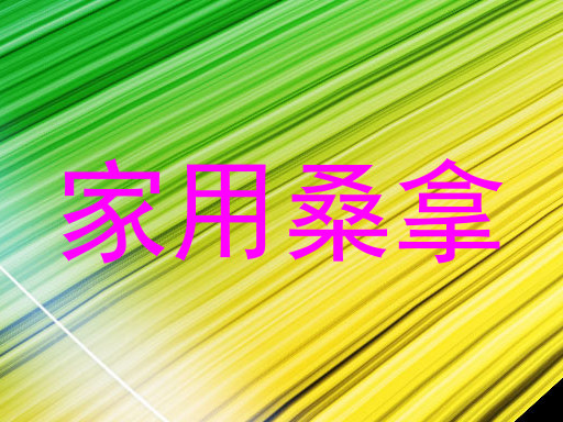 家用桑拿