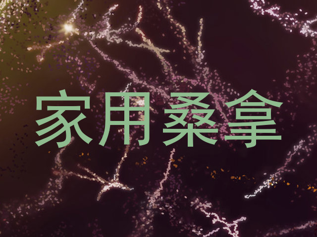 家用桑拿