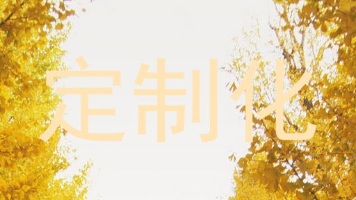 定制化