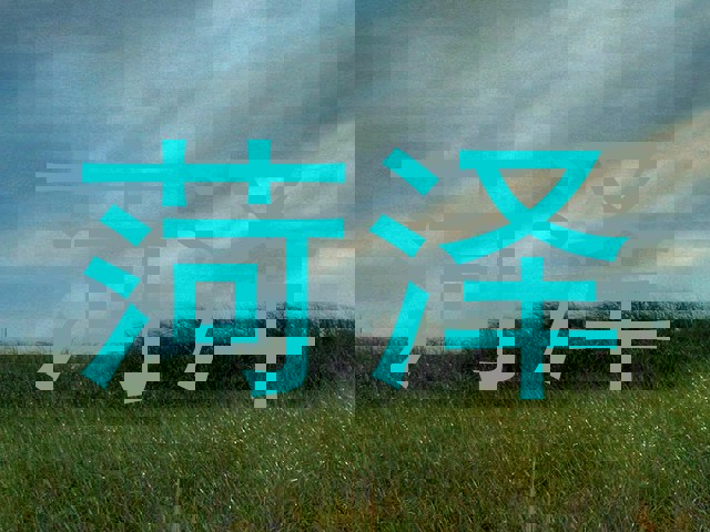 菏泽