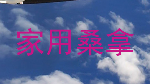 家用桑拿