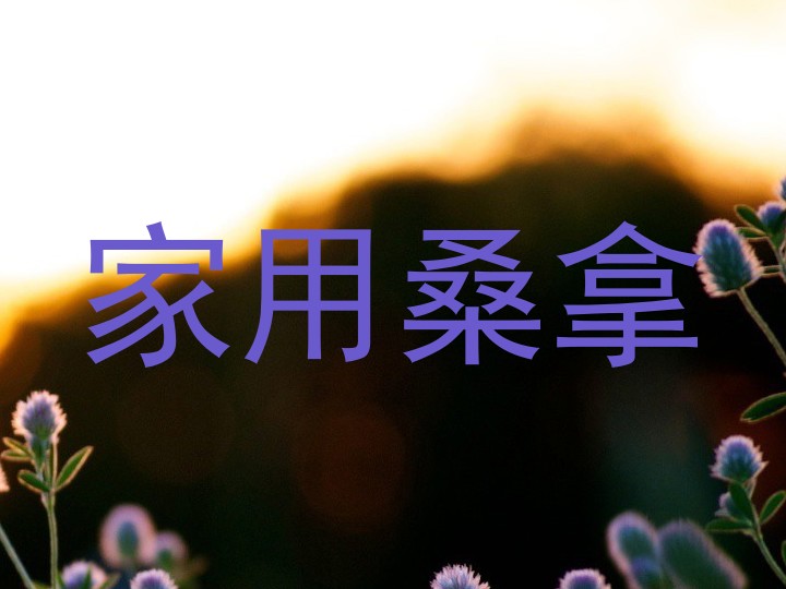 家用桑拿