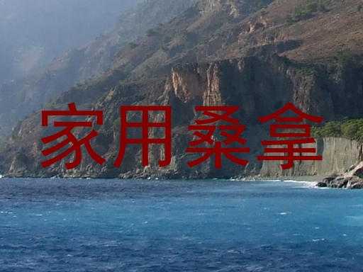 家用桑拿