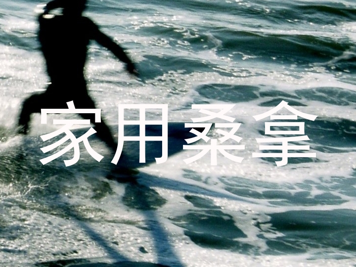 家用桑拿