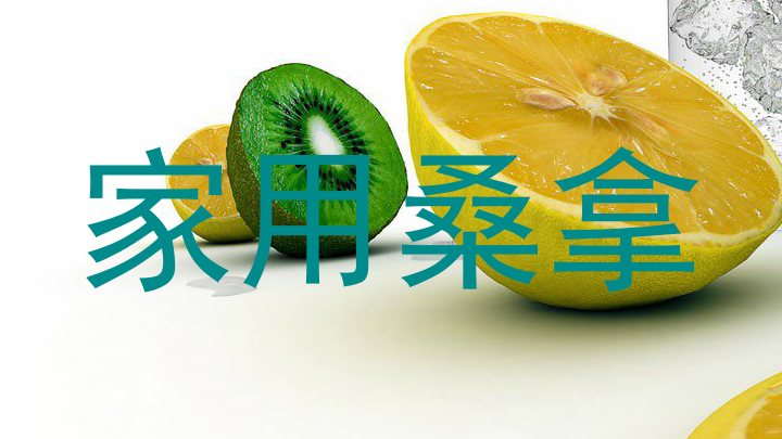 家用桑拿