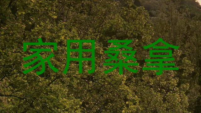 家用桑拿
