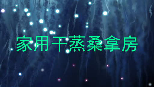 家用干蒸桑拿房