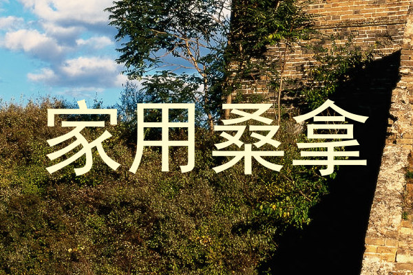 家用桑拿