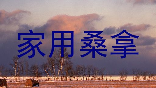 家用桑拿