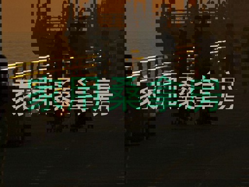 家用桑拿房