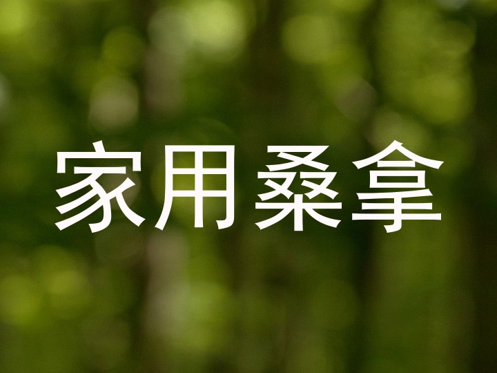 家用桑拿