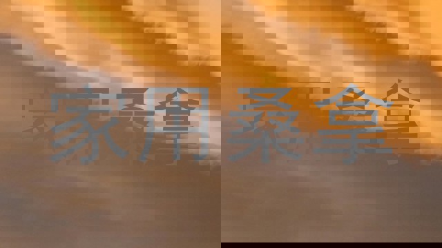 家用桑拿