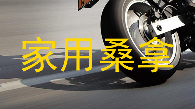 家用桑拿