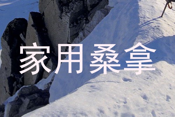 家用桑拿