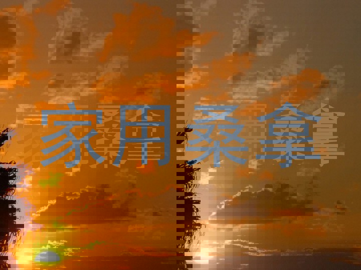 家用桑拿