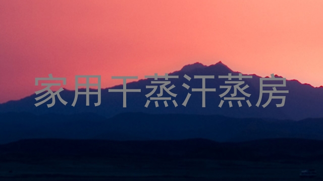 家用干蒸汗蒸房