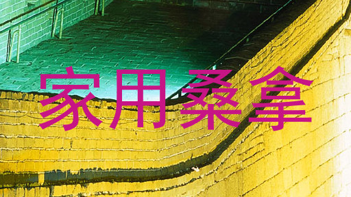 家用桑拿