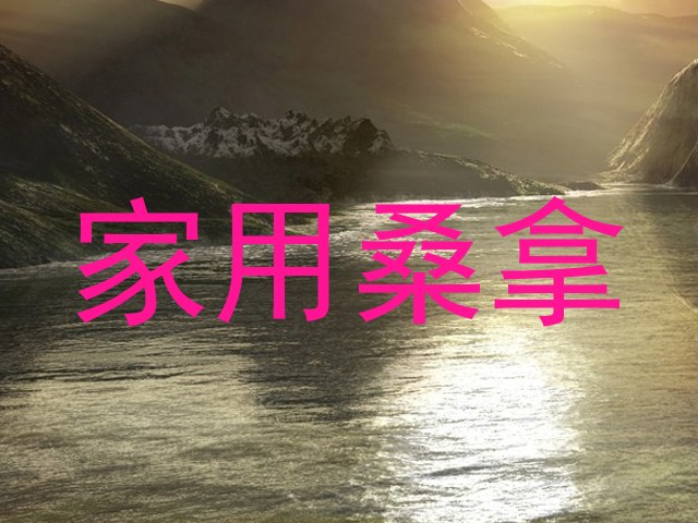 家用桑拿