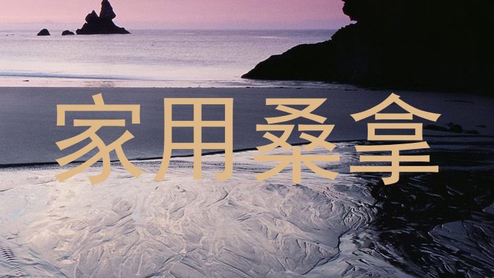 家用桑拿