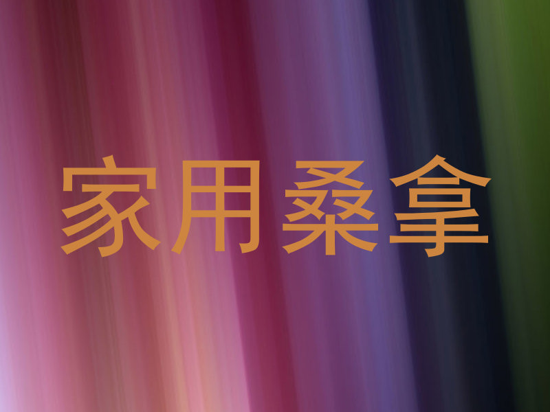 家用桑拿