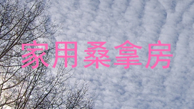 家用桑拿房