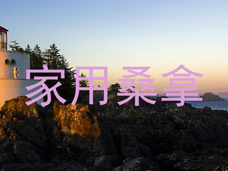 家用桑拿