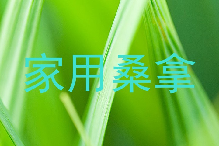 家用桑拿