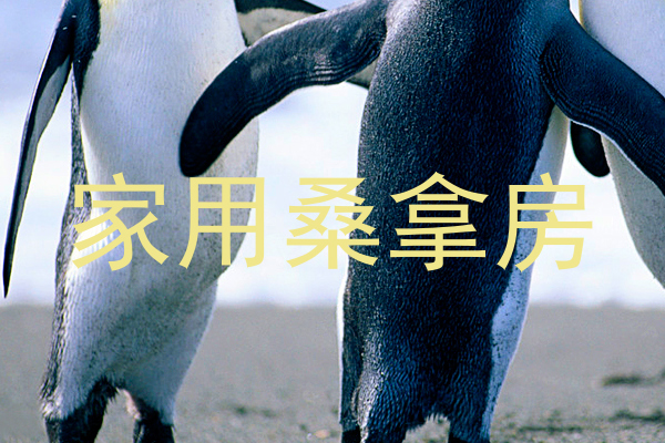 家用桑拿房