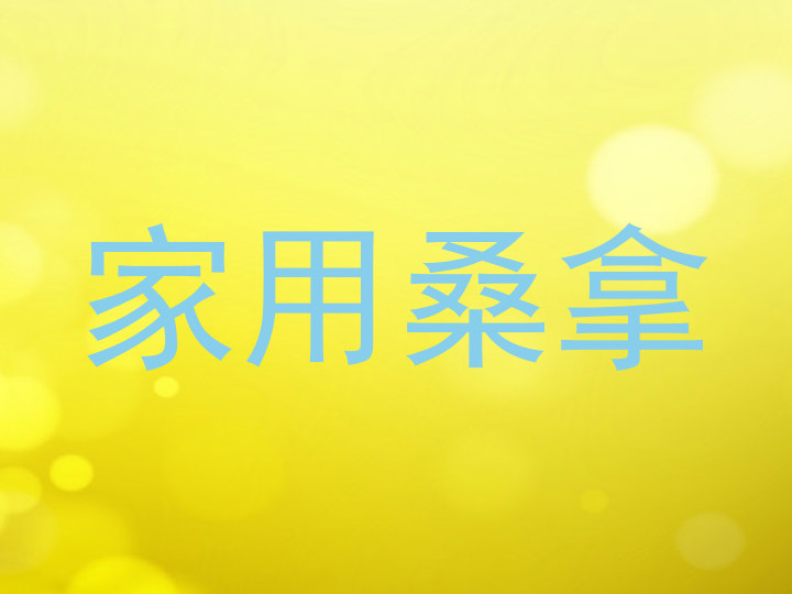 家用桑拿