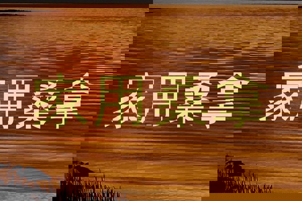 家用桑拿
