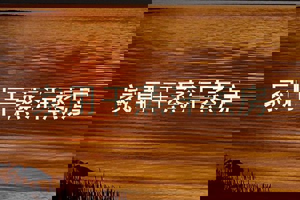 家用干蒸汗蒸房