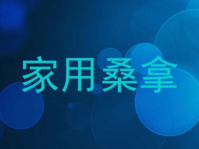 家用桑拿
